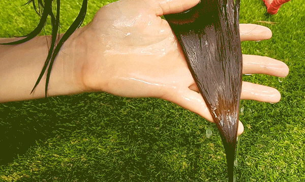 허벌리스테 허벌 헤어팩 500ml 푸석한 머리 손상모 복구 머릿결 홈케어 모라츠 폴리고눔 이미지 3
