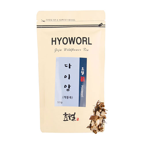 제주도 삼백초 겨우살이 진피 꾸지뽕 개똥쑥 우전천아 - 상세 이미지 4