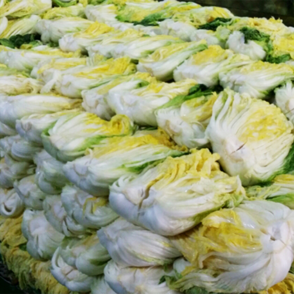 영특한 절임배추 2026년 신안소금 사용 영월 절임배추 20kg 한박스 몇 포기 - 상세 이미지 5