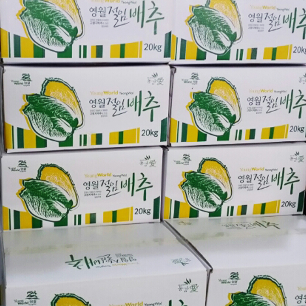 영특한 절임배추 2026년 신안소금 사용 영월 절임배추 20kg 한박스 몇 포기 이미지 6