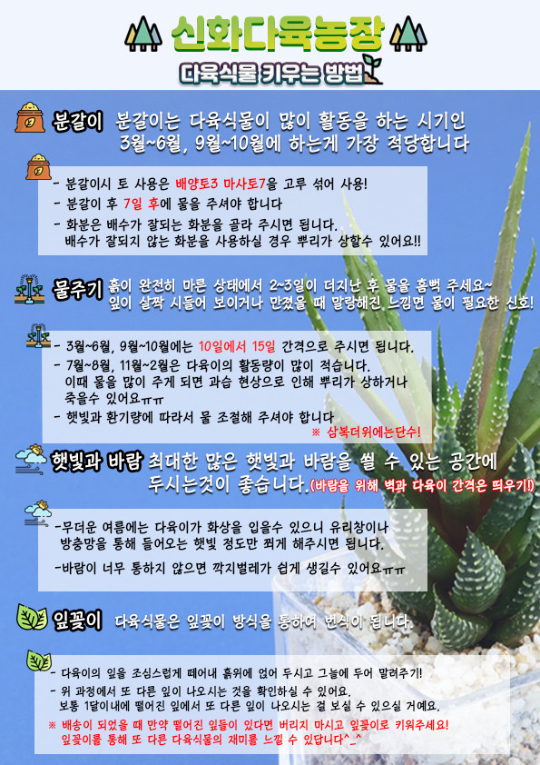 다육이키우는방법.Jpg?Type=W860