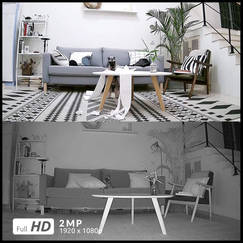 리오링크 아구스 에코