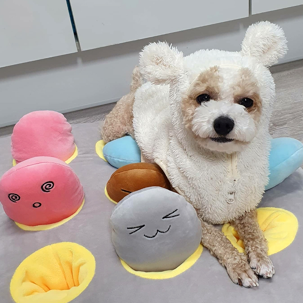 더플래 두더지 강아지 노즈워크 장난감