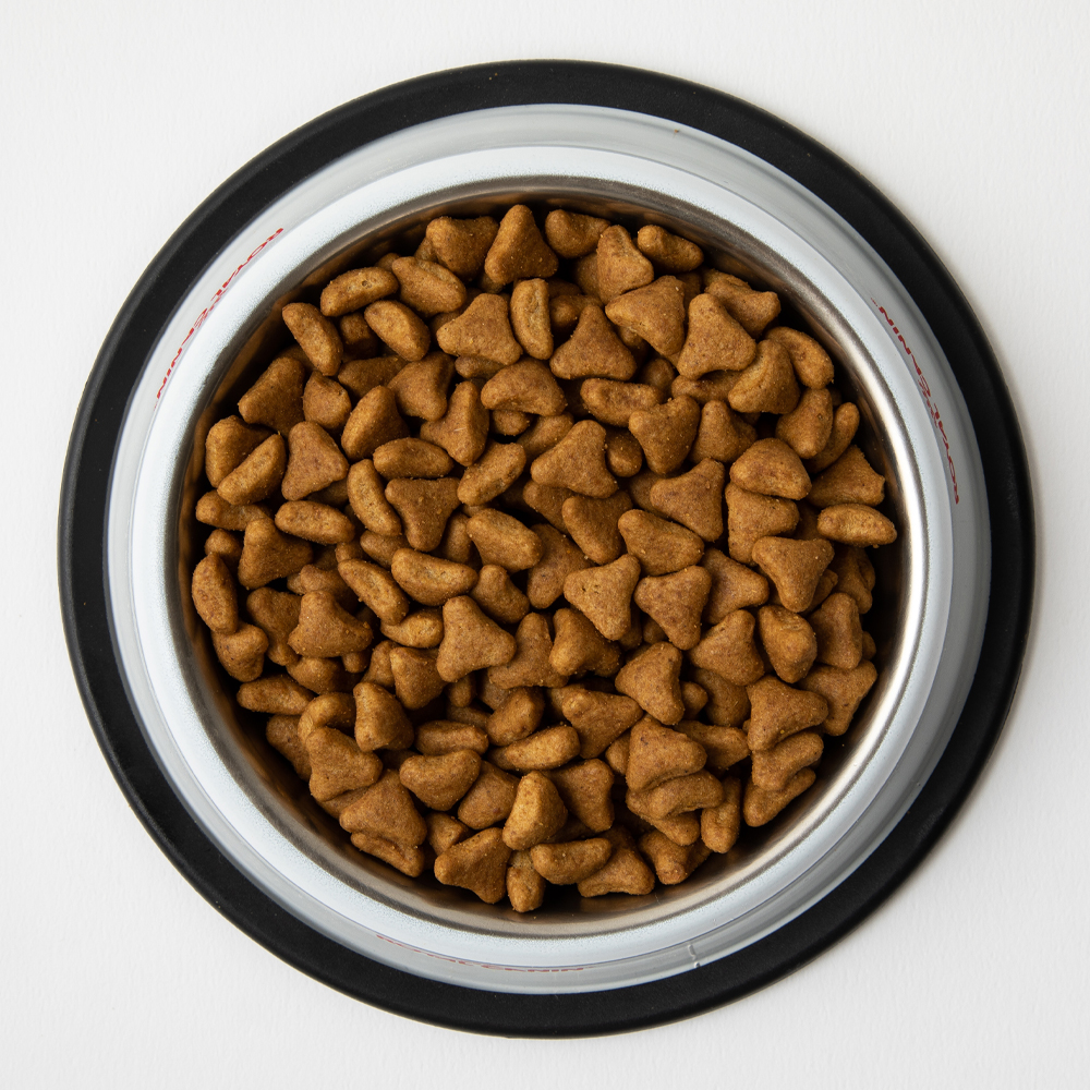 [유통기한 2027.05.15] 로얄캐닌 캣 인도어 7세이상, 3.5kg, 1개