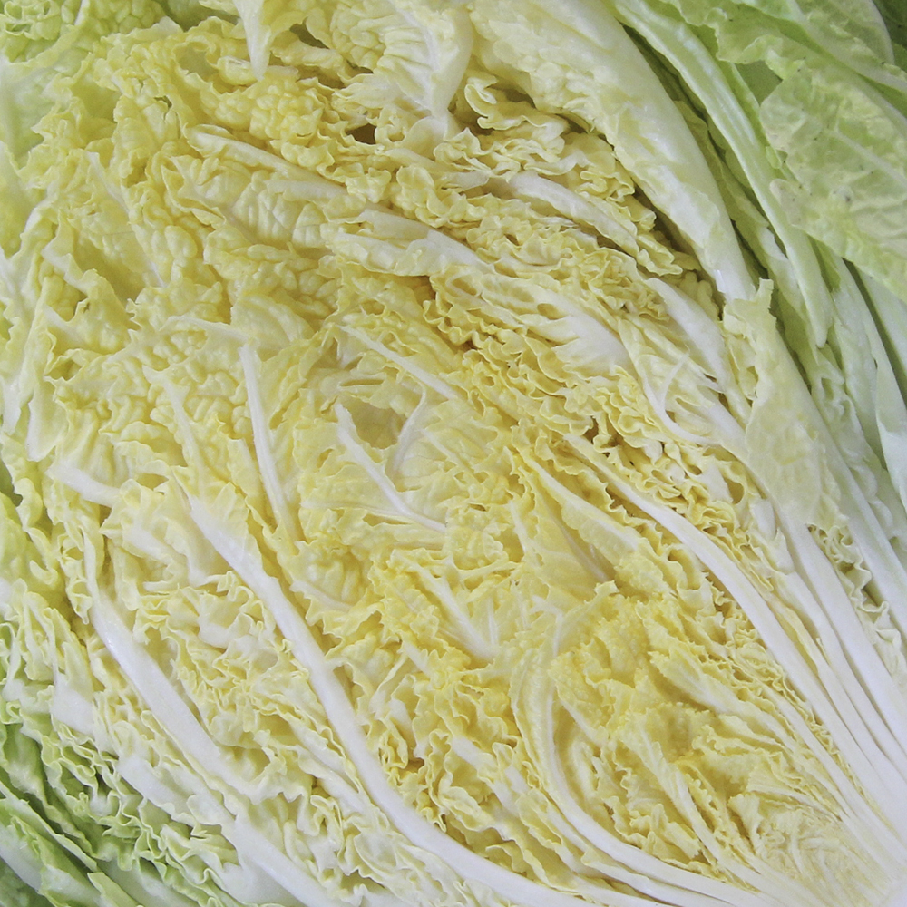 유기농 친환경 절임배추 10k 해썹 HACCP 이미지 6