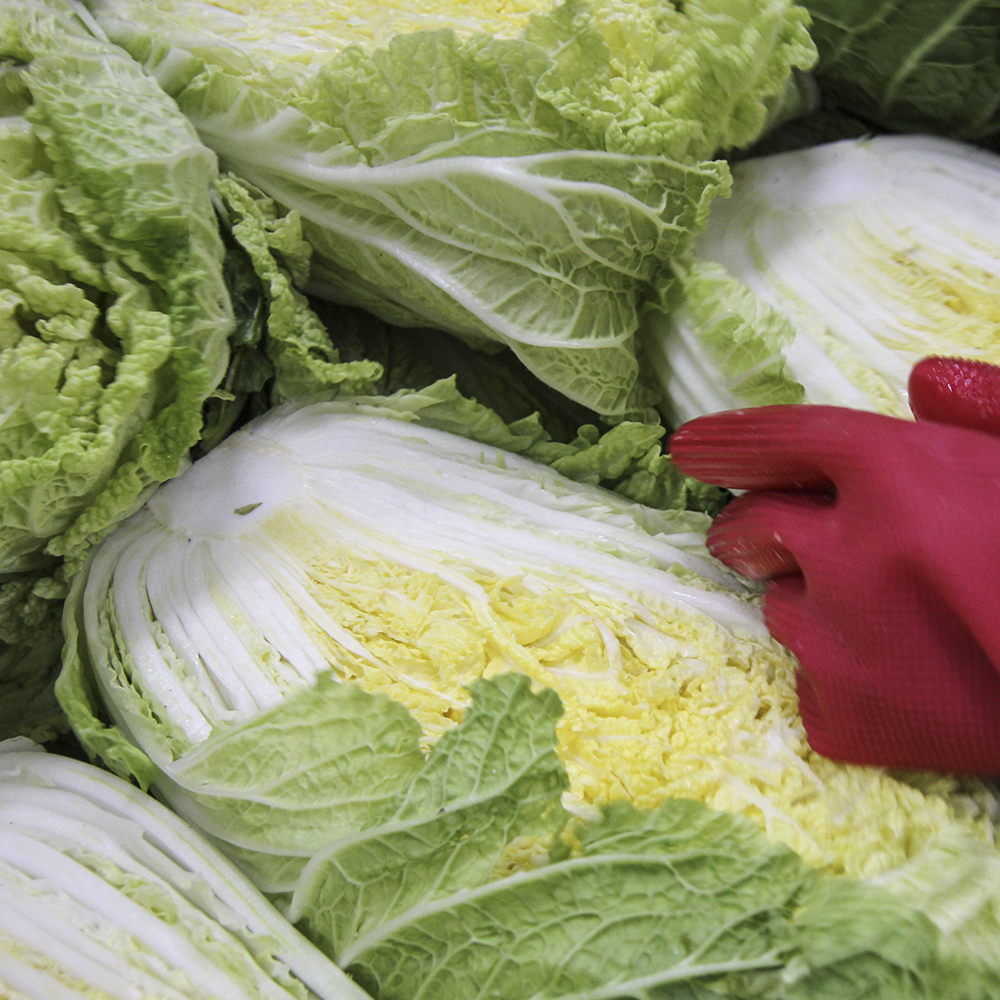 유기농 친환경 절임배추 10k 해썹 HACCP - 상세 이미지 3