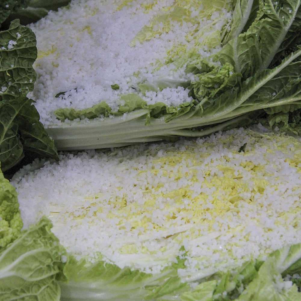 유기농 친환경 절임배추 10k 해썹 HACCP - 상세 이미지 2