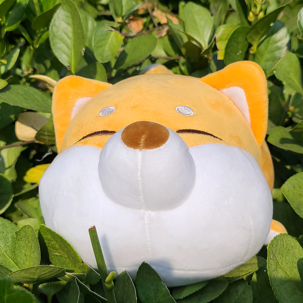 모찌 시바 허스키 강아지 인형 쿠션 집들이 여친 선물 - 상세 이미지 3