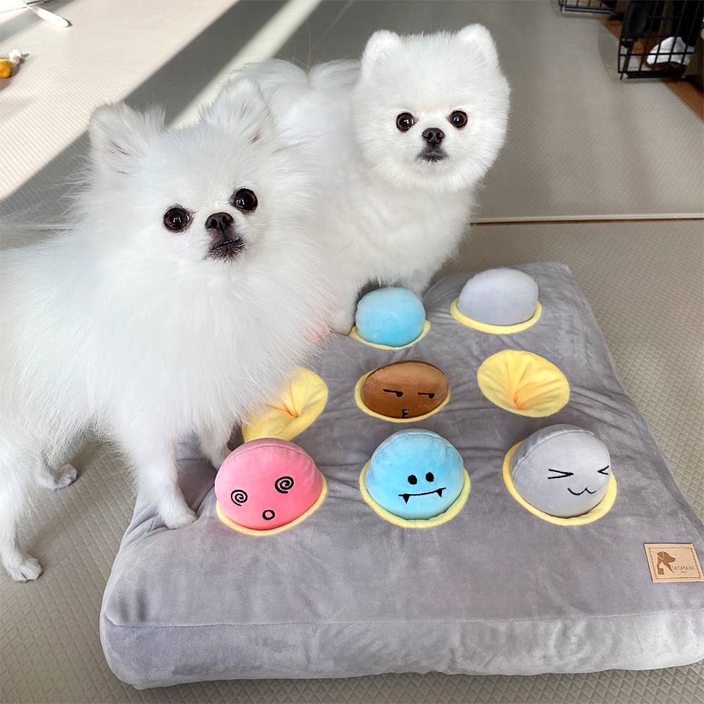 더플래 두더지 강아지 노즈워크 장난감