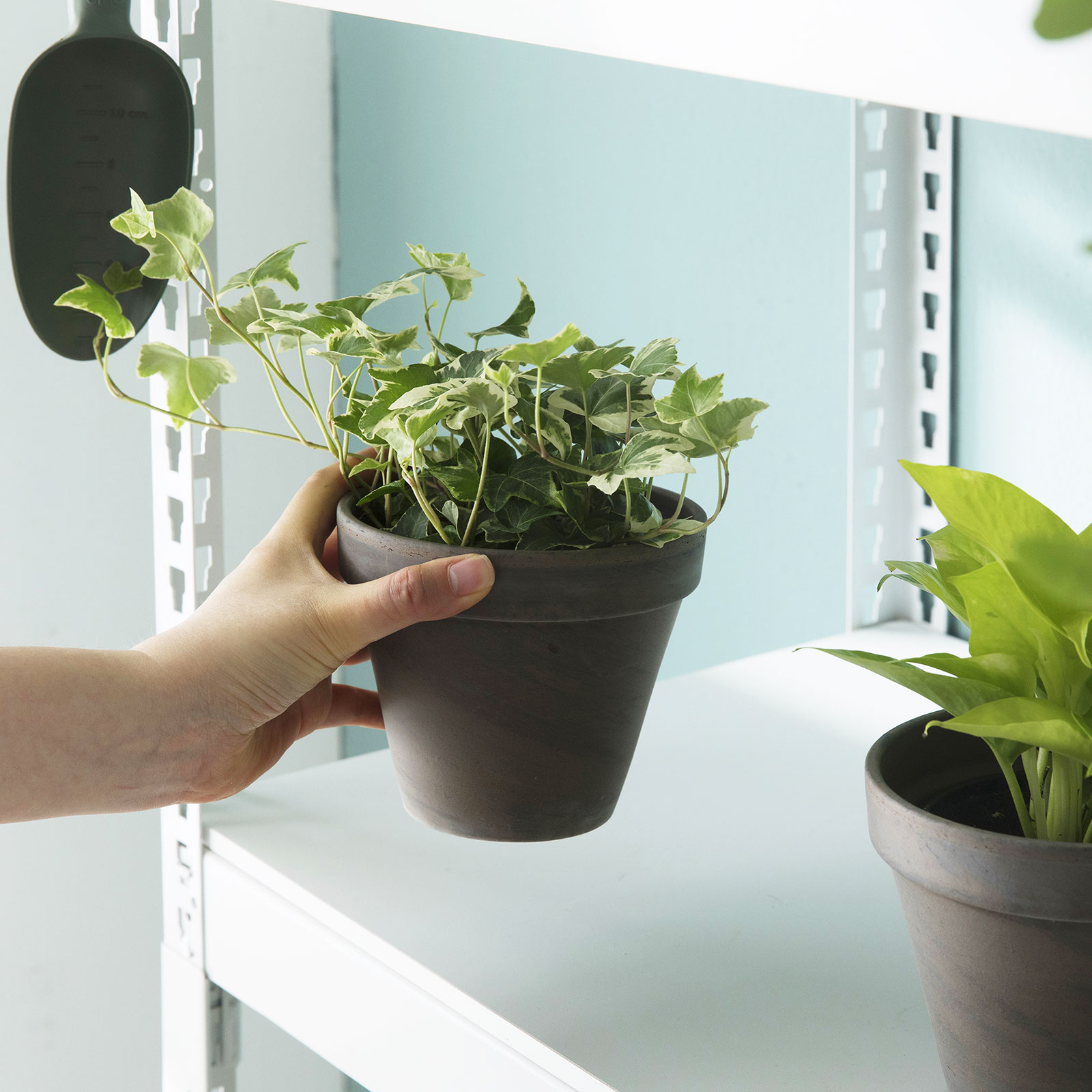 수납선반 선반 팬트리 다용도 시스템 선반장 조립 모듈 스피드랙 300x300x900 5단