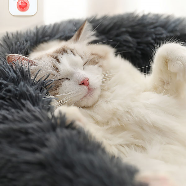 고양이 도넛 방석 XS 무중력 쿠션 반려동물 애완동물 숨숨집 애견 기절 매트 겨울 하우스 이불