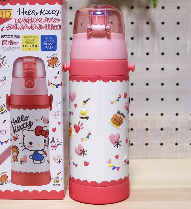 스케이터 3D원푸쉬 보냉 스테인리스 다이렉트 보틀 480ml (키티,토토로,스누피,포켓몬스터) SDPV5 - 하카타몰