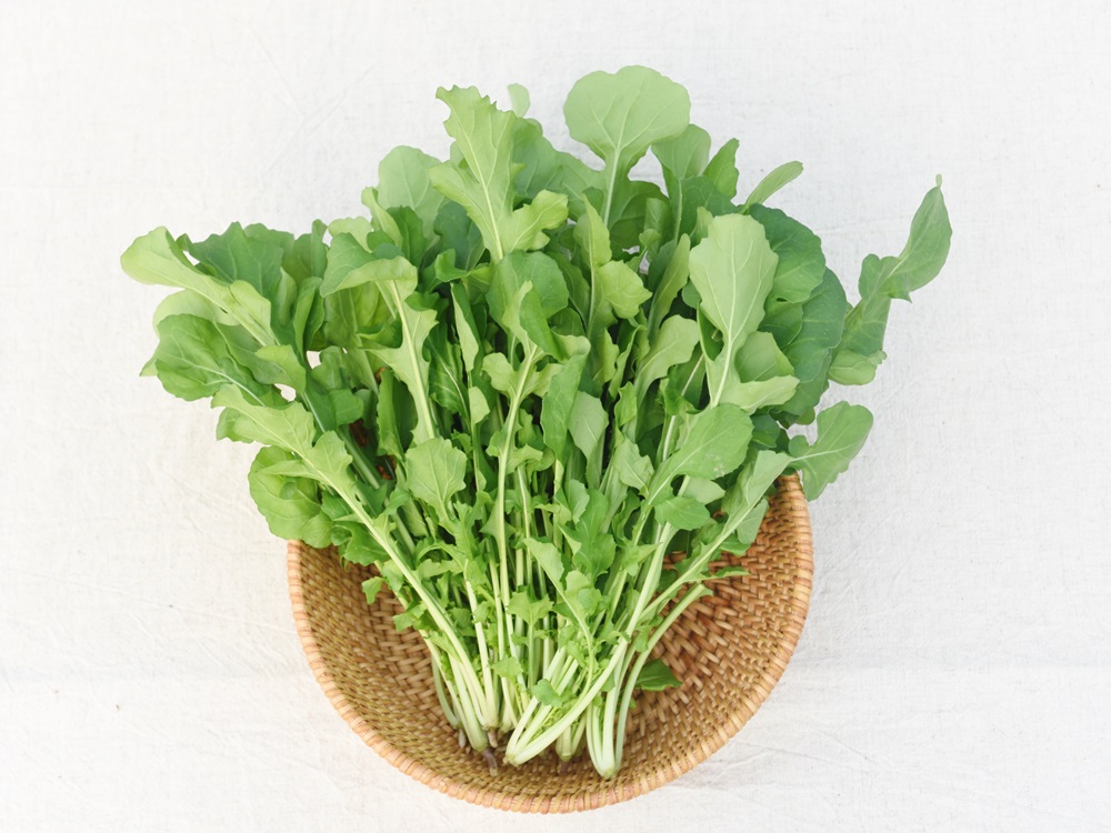 루꼴라 로켓 로케트 샐러드 500g - 상세 이미지 2