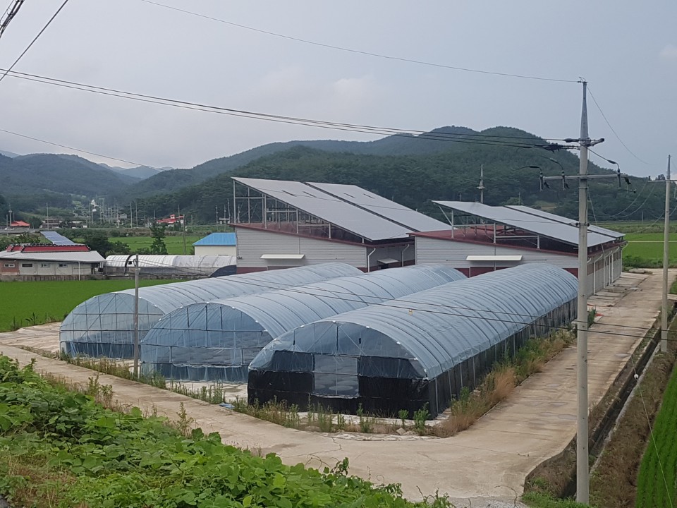 갈치속액젓10kg(8.4L) 무료배송 부안곰소갈치액젓 토백이젓갈 원액100% 이미지 7