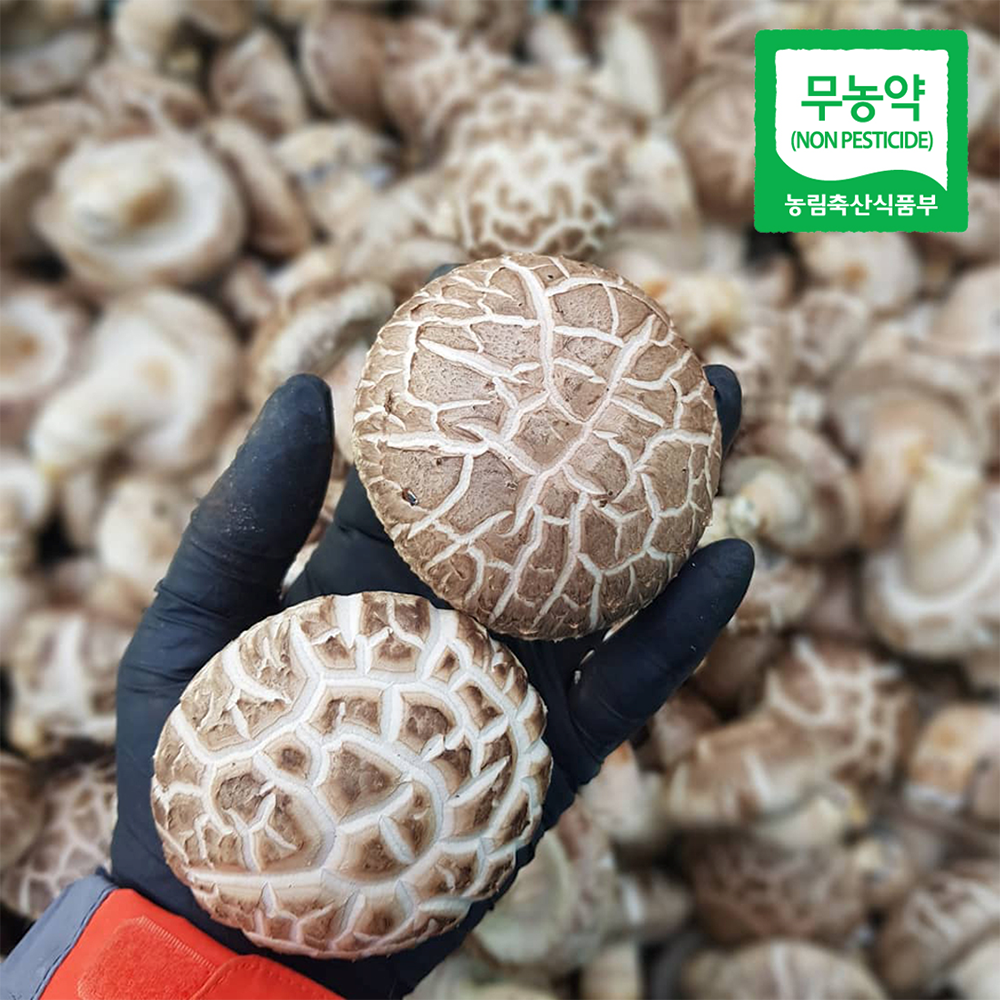 표고버섯 1kg 장흥 생 샤브샤브채소 못난이 파지 고기 참나무 - 상품 이미지