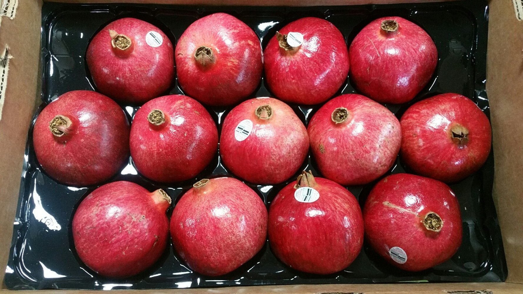 생석류 생과 1kg 2kg 4kg 미국산 우즈벡산 - 상품 이미지
