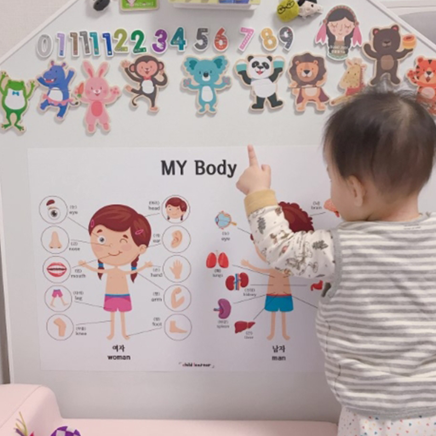 아기포스터 유아 벽보 신체 학습 A3 소형 어린이 벽그림 공부 방수포스터 - 상세 이미지 2