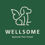 WELLSOME - 웰썸 스토어 로고