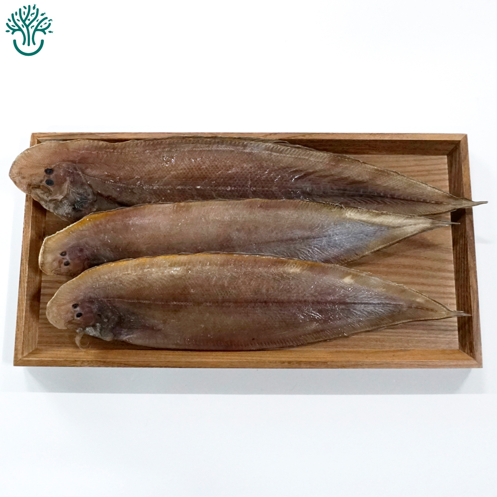 삼천포 용궁수산시장 반건조 서대(박대) 3미 - 상세 이미지 3