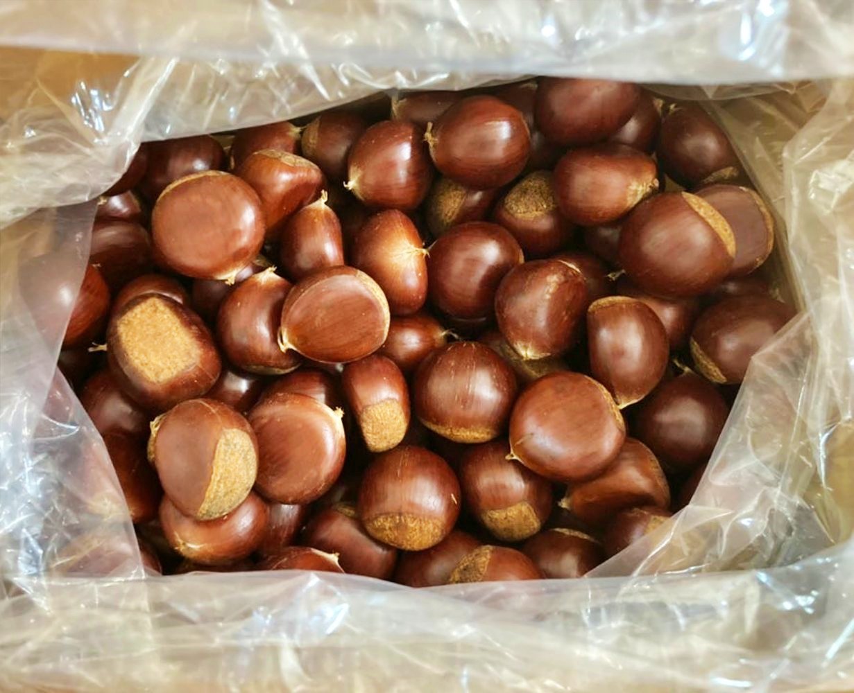충주 이평밤 부여 공주 햇밤 1kg 2kg 3kg 4kg 중과 대과 특과 - 상품 이미지