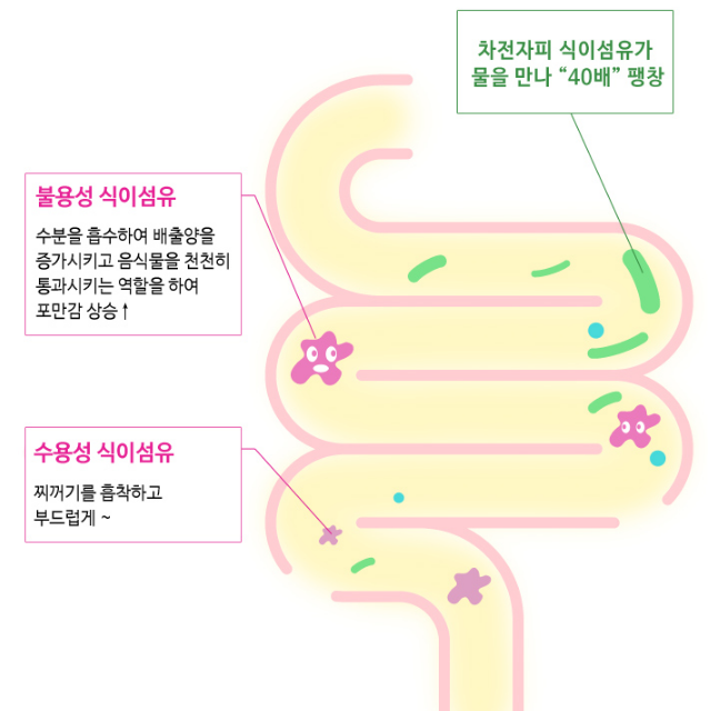 엔트리 엑스디토 숙변 장건강 30포 - 상세 이미지 4