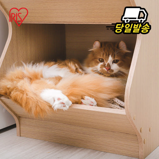 thumbnail-3