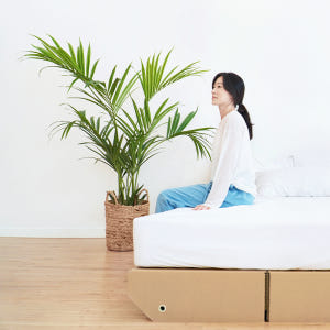 종이 침대프레임 SS/Q/K 조립식 무헤드 받침대 페이퍼팝 종이가구 솔직 후기 | 실제 배치 사진 포함 - 상품 이미지 3