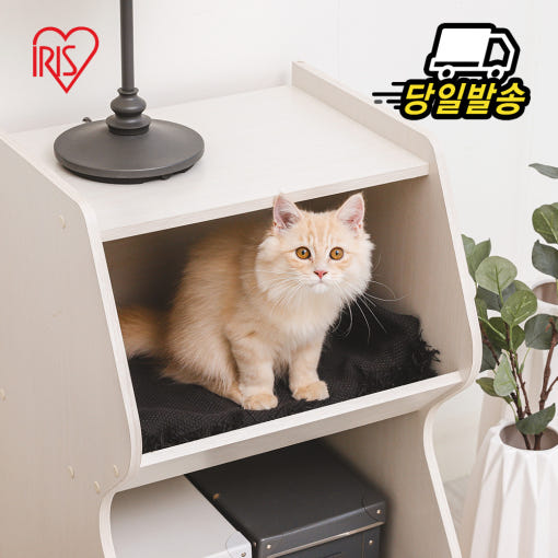 thumbnail-4