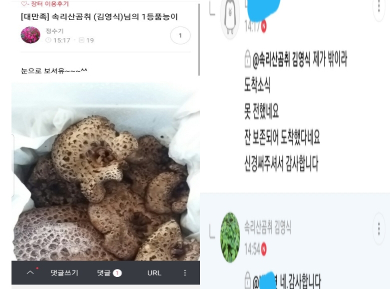 국내산 자연산 능이버섯 1kg 생물 백화점 고급 버섯 선물 세트 국산 추석 부모님 선물용 이미지 7