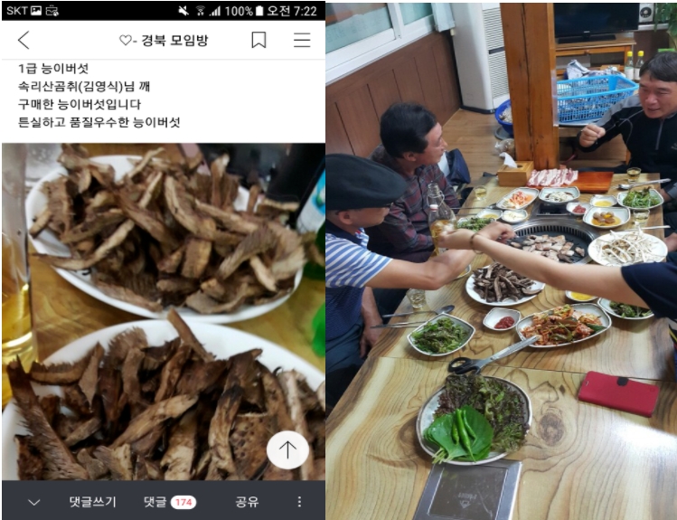 국내산 자연산 능이버섯 1kg 생물 백화점 고급 버섯 선물 세트 국산 추석 부모님 선물용 - 상세 이미지 5
