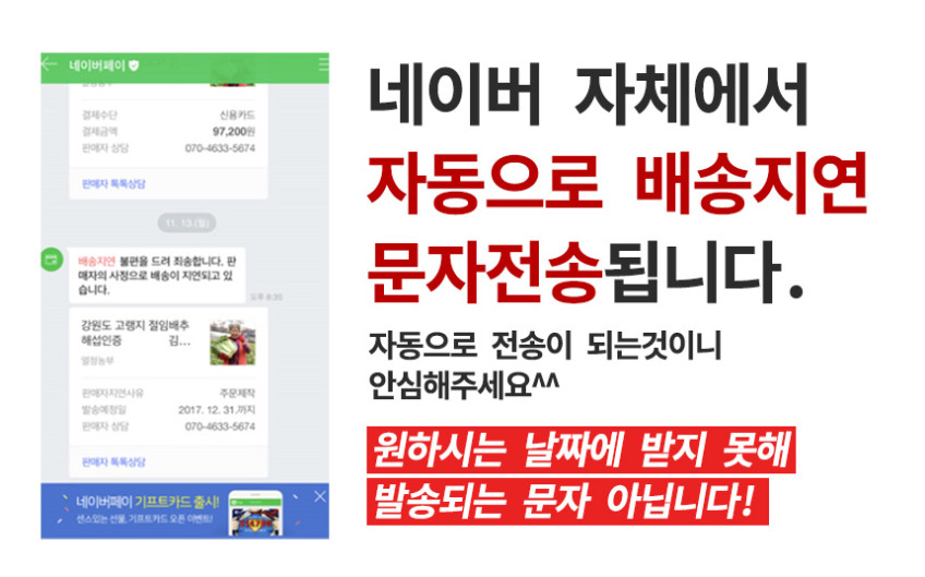 열정농부 일반 김장양념 김치양념 3.5kg 김치속 판매처 상세 정보 이미지 4