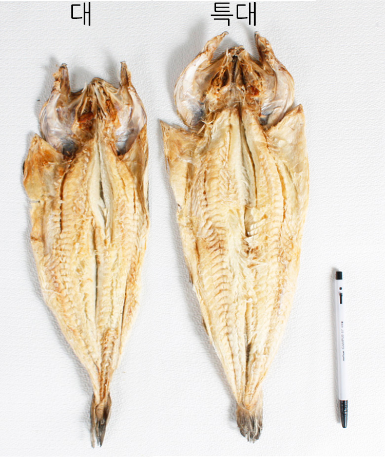 31건어물 호프집 먹태 그 맛 그대로, 통통한 통살 먹태 (대) 10미 (약 28~30cm) - 상세 이미지 5