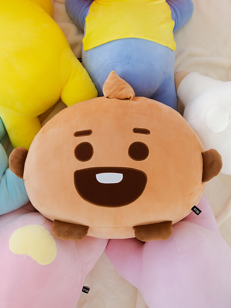 bt21 shooky pillow