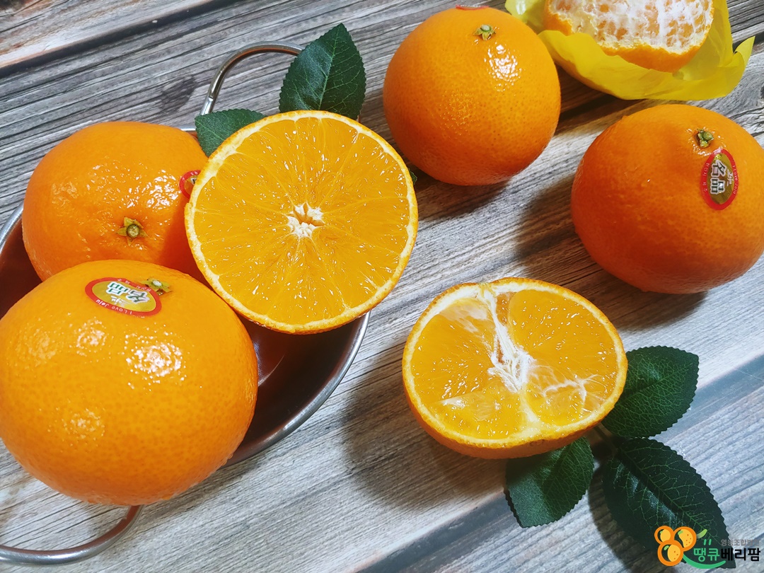 제주 제철 황금향 가정용 선물용 5kg 3kg 2kg 노지 감귤  조생 타이벡 중소과 중대과 - 상세 이미지 5