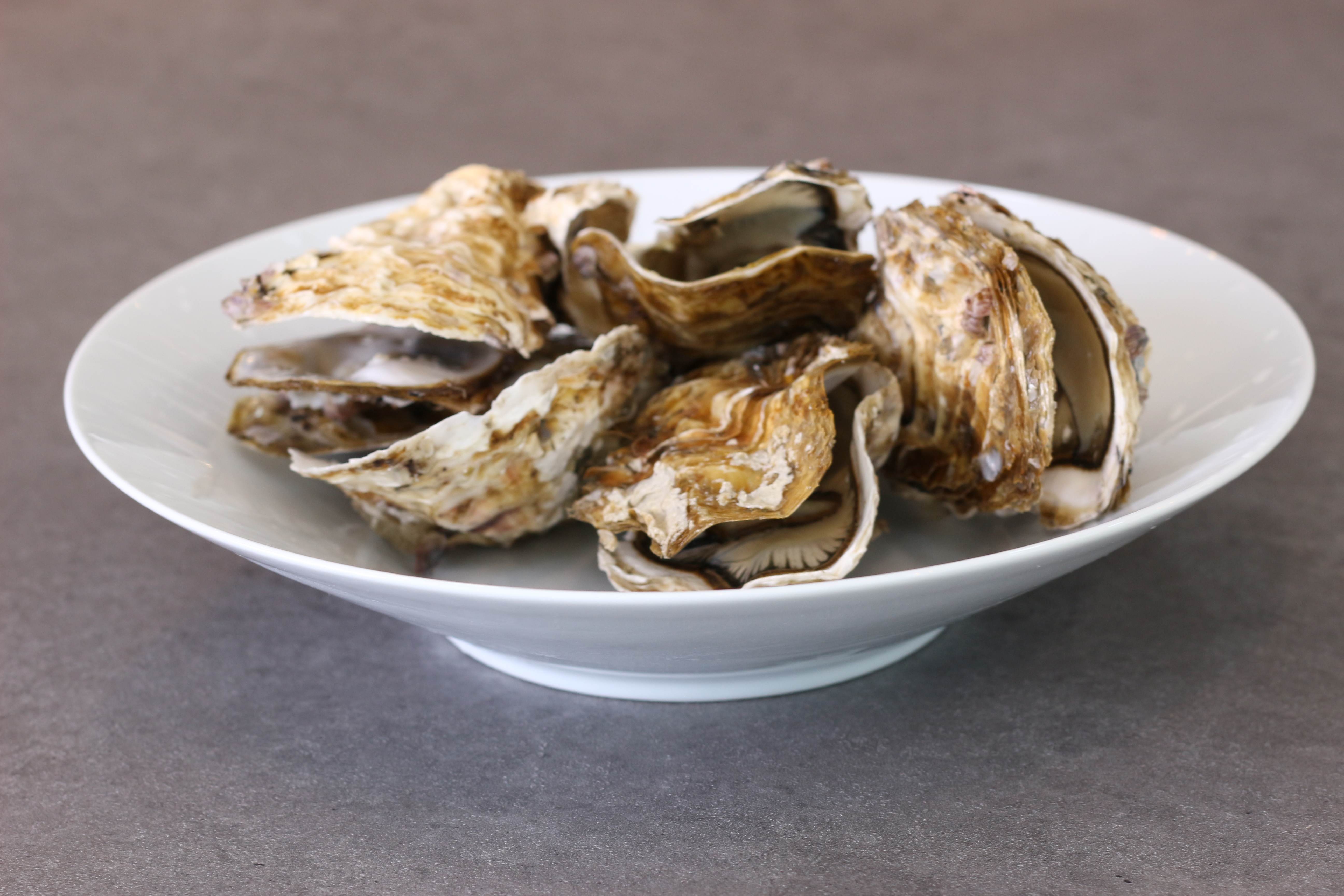 1kg 통영 매일 채취 수출용 삼배체굴 사계절굴 석화 석굴 하프셀 이미지 6