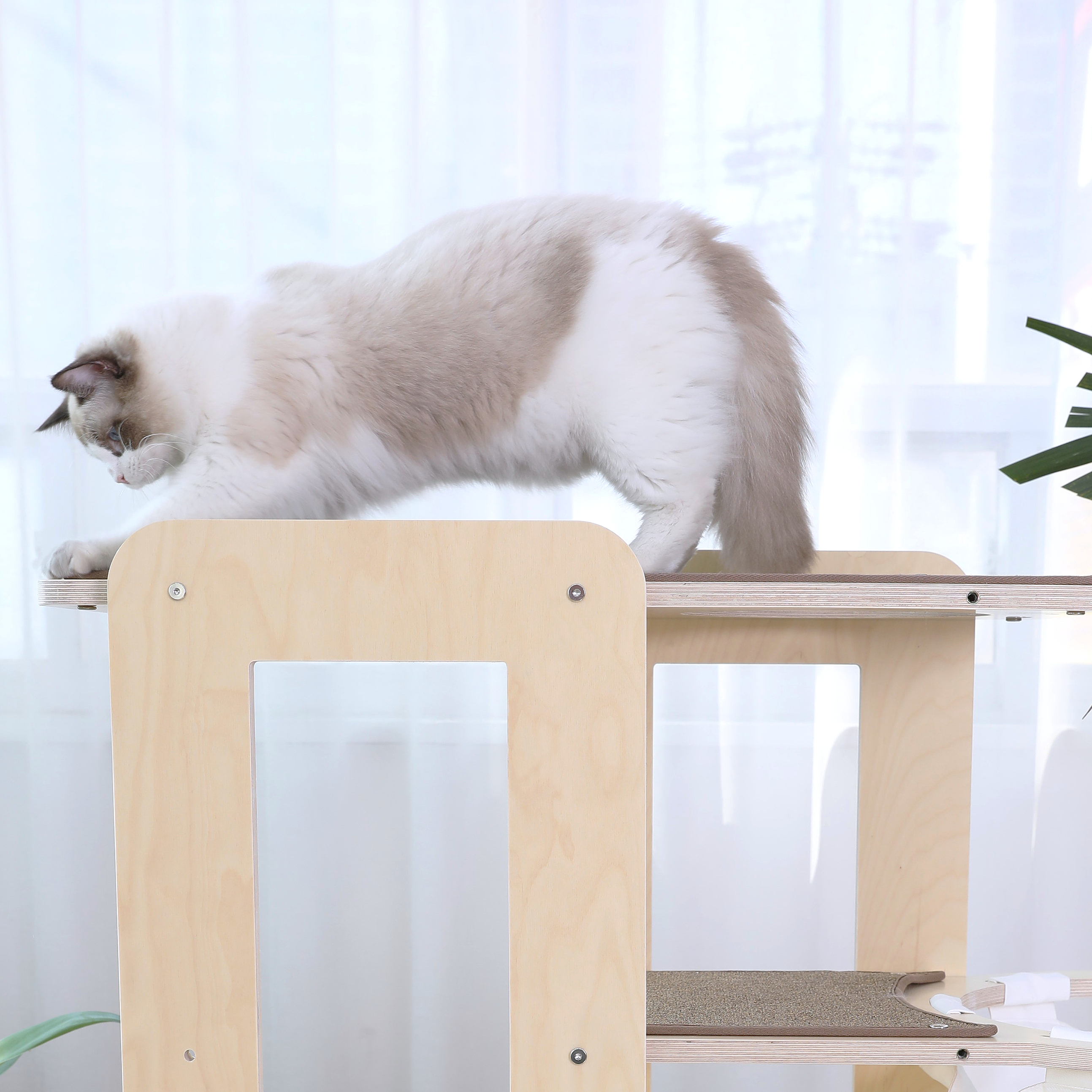 캣돌 모모타워 캣타워 캣폴 2번 세트구성