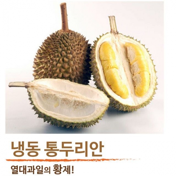 고급 열대과일 냉동 두리안 10kg 통 두리안 10키로 - 상세 이미지 3