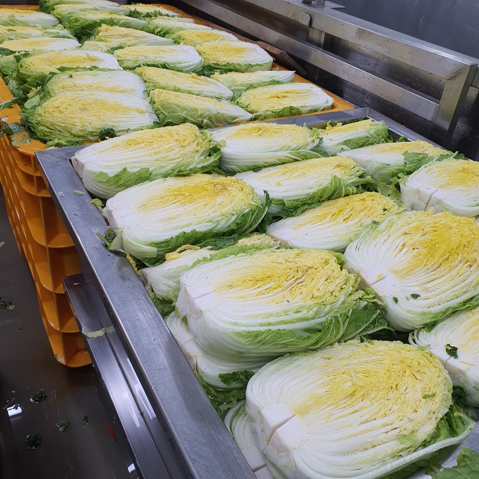 절임배추 20kg 신아김치 100% 국내산 농산물