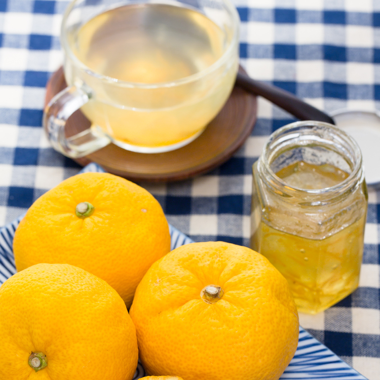 [녹차원]꿀유자차 1KG+1KG 2병