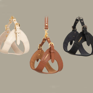 디어우 강아지 H형 하네스 안아픈 가슴줄 앞섬방지 소형견 중형견 산책 용... 솔직 후기 | 실제 사용자 리뷰 총정리 - 상품 이미지 1