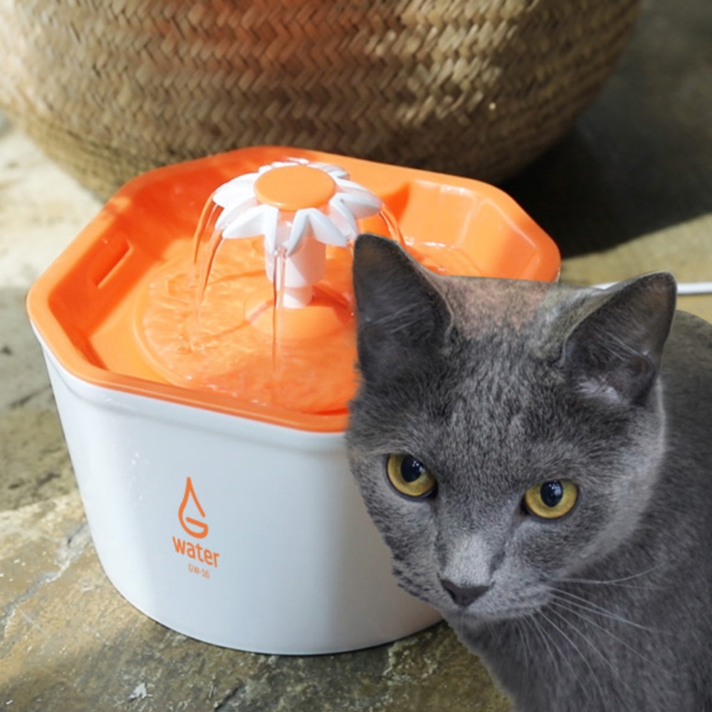 고양이 급수기 필터 시스템 자동 급수대 음수대 분수대 정수기 반려 애완 동물