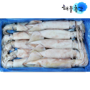 해물총각 오징어 냉동오징어 1박스 맛있게 먹은 솔직 후기 - 상품 이미지 1