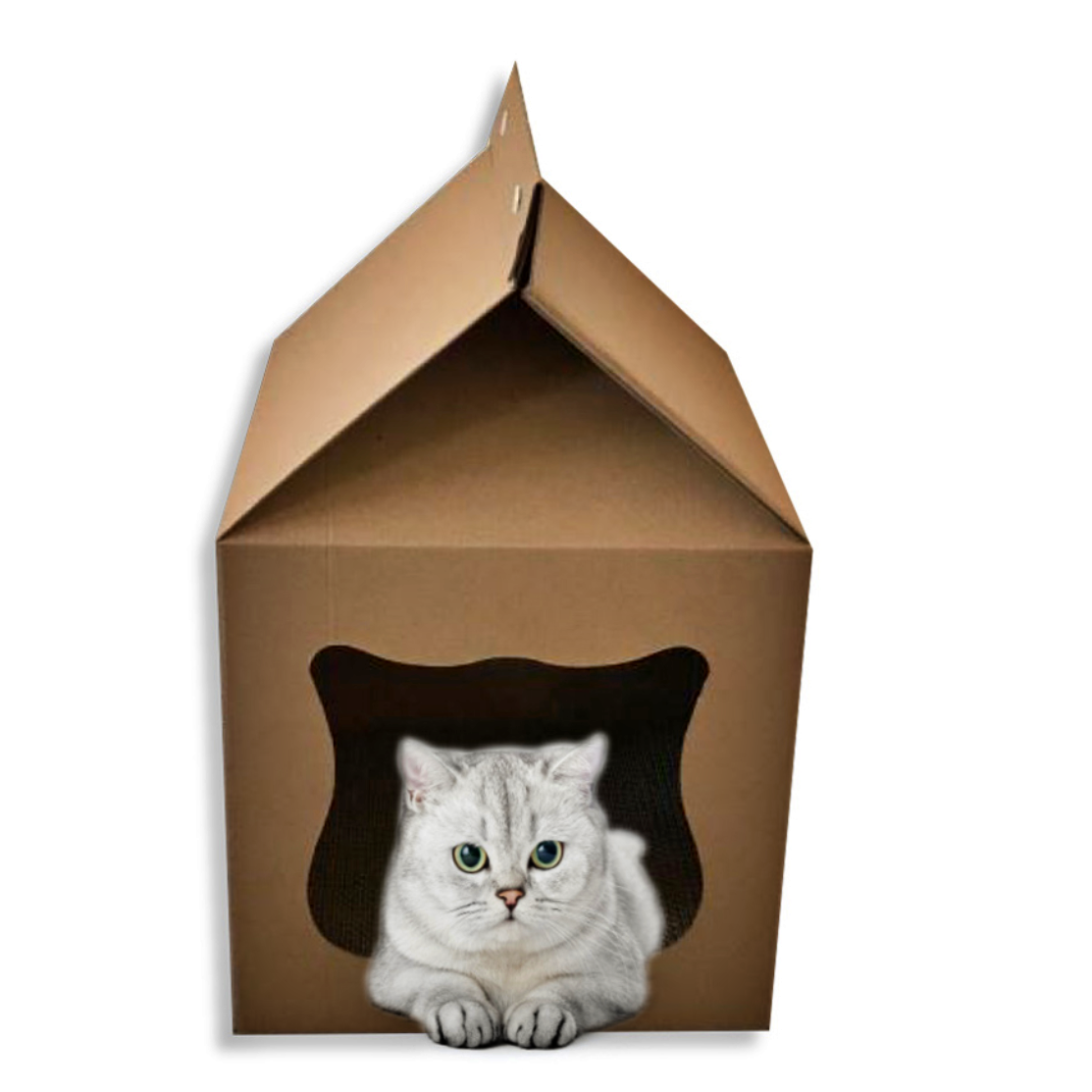 우유팩 스크래쳐 길고양이 집 하우스 길냥이 겨울집 급식소 실외 박스집