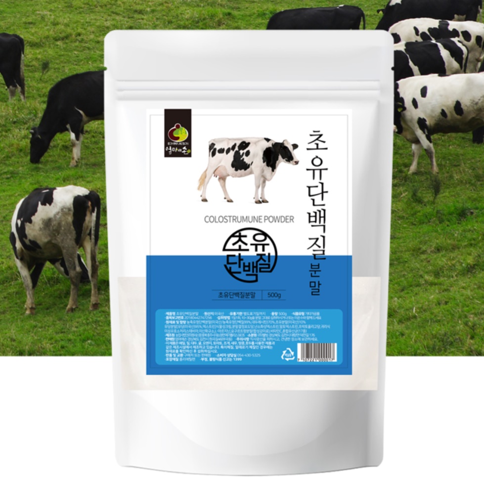 초유 단백질 분말 500g 여성 단백질보충제 남자 쉐이크 어린이 프로틴 영양제 - 상세 이미지 2