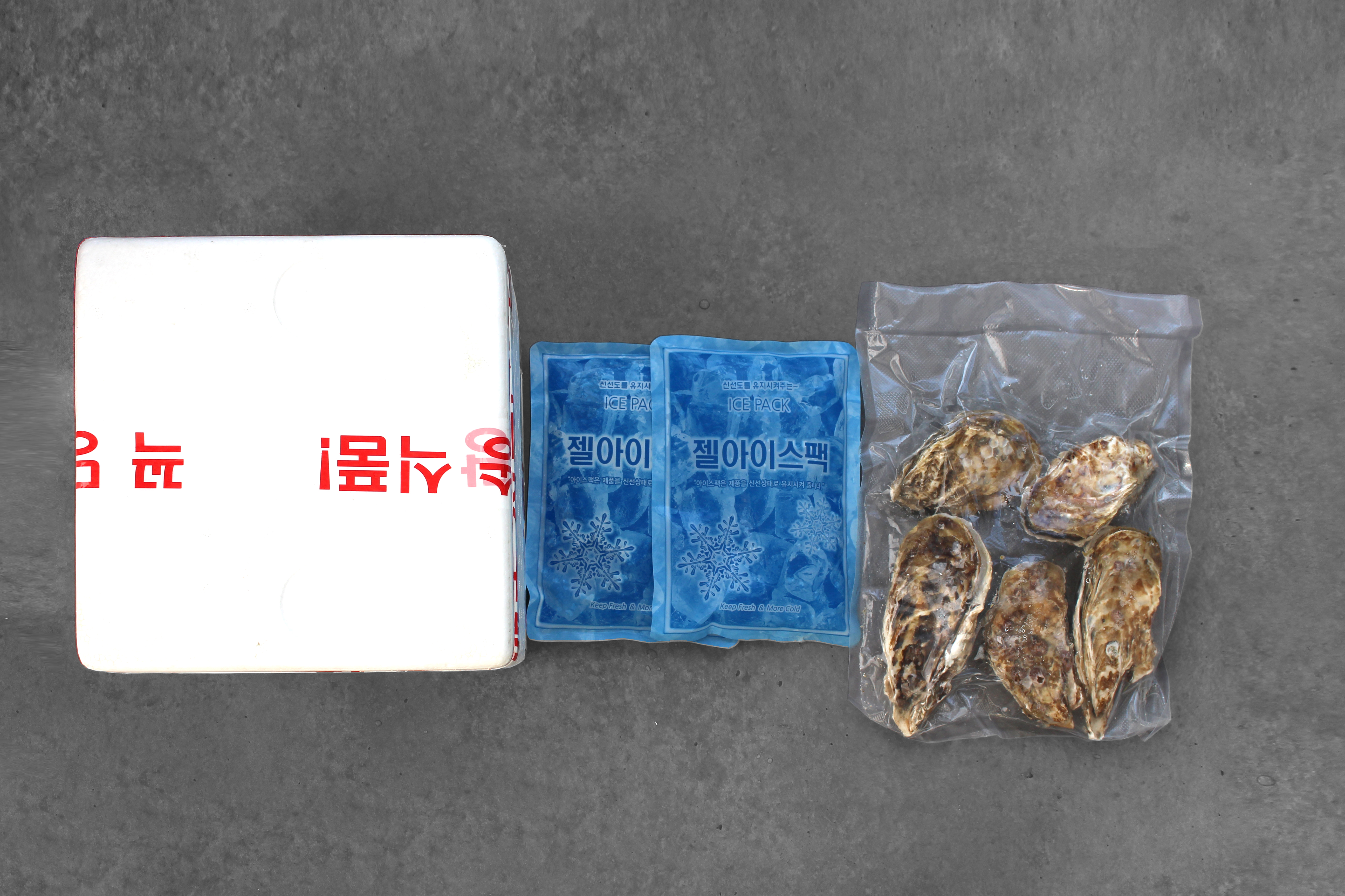 2kg 통영 매일 채취 수출용 삼배체굴 사계절굴 석화 고급굴 석굴 반손질 하프셀 - 상세 이미지 3