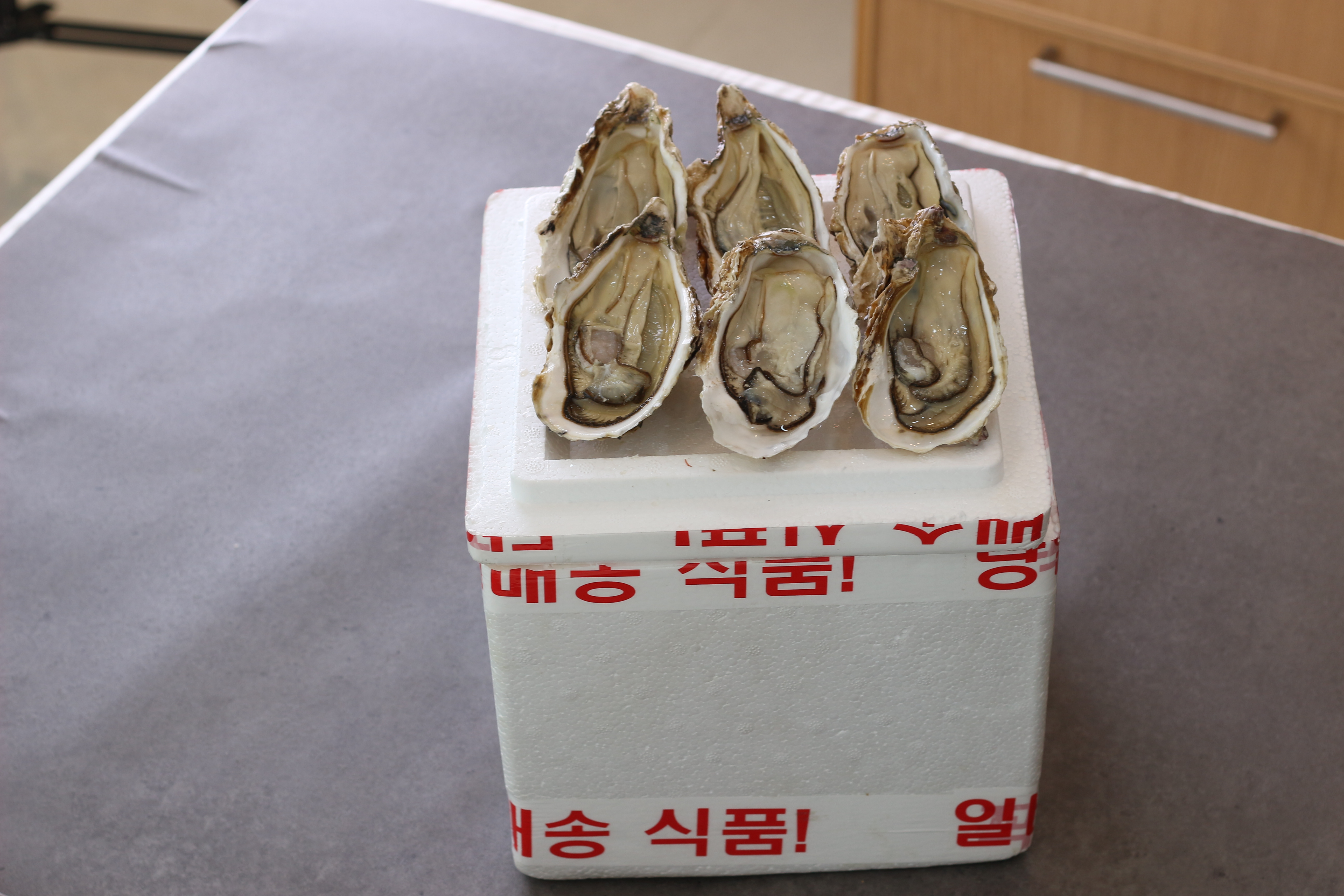3kg 통영 매일 채취 수출용 삼배체굴 사계절굴 석화 석굴 반손질 하프셀 - 상세 이미지 4