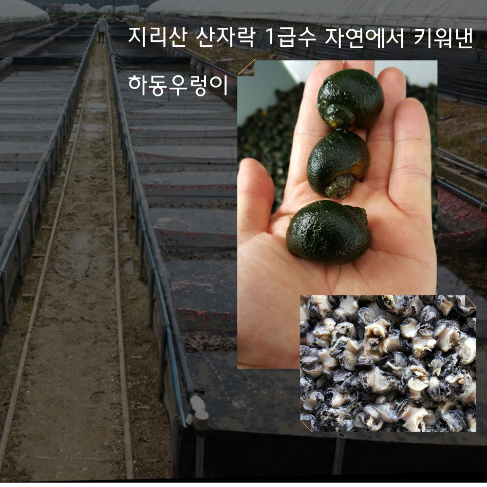 하동 우렁 추어탕 550g x 6팩 보양식 간편식 국밥 전통 추어탕 - 상세 이미지 5