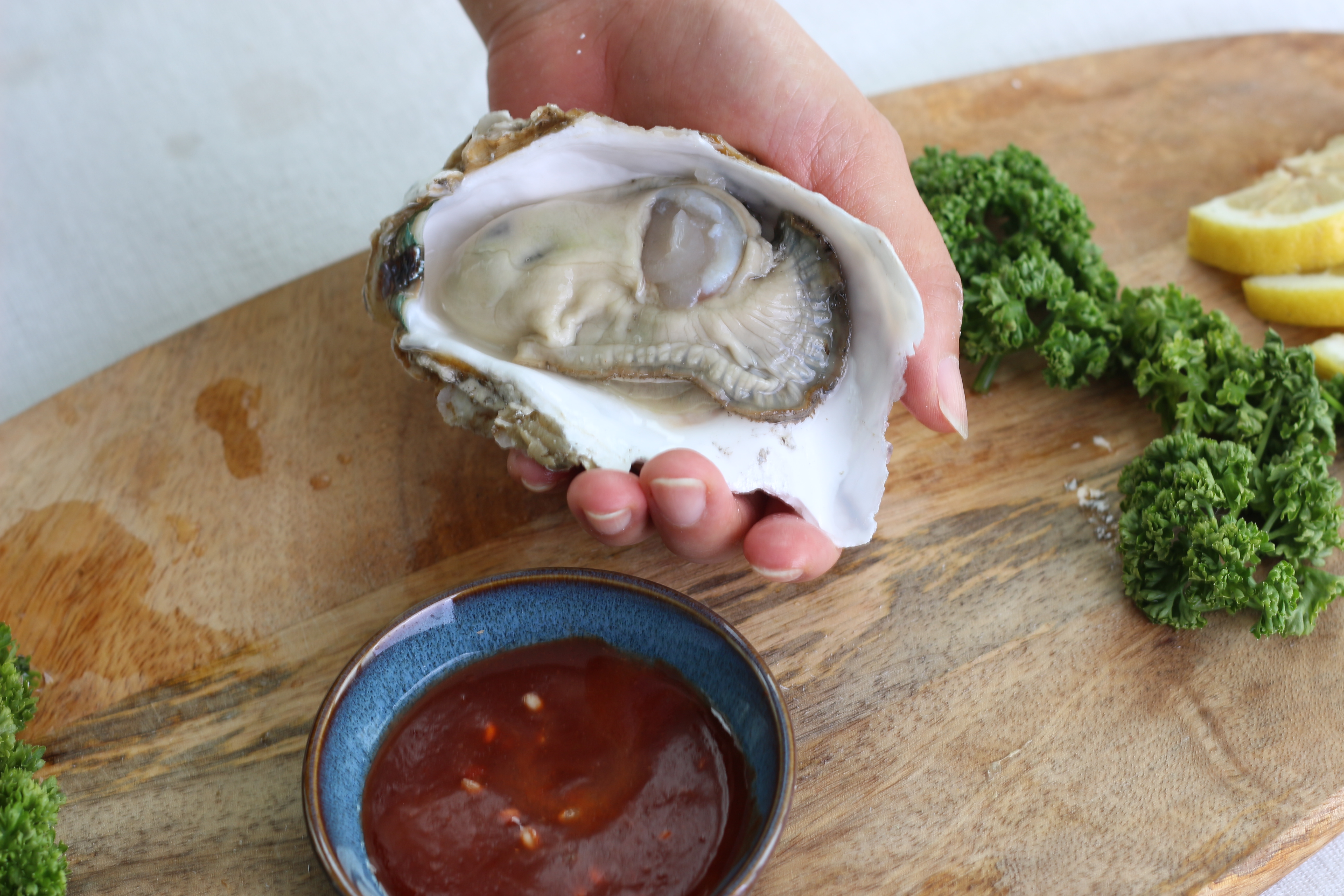 3kg 통영 당일 채취 수출용 삼배체굴 사계절굴 석화 석굴 하프셀