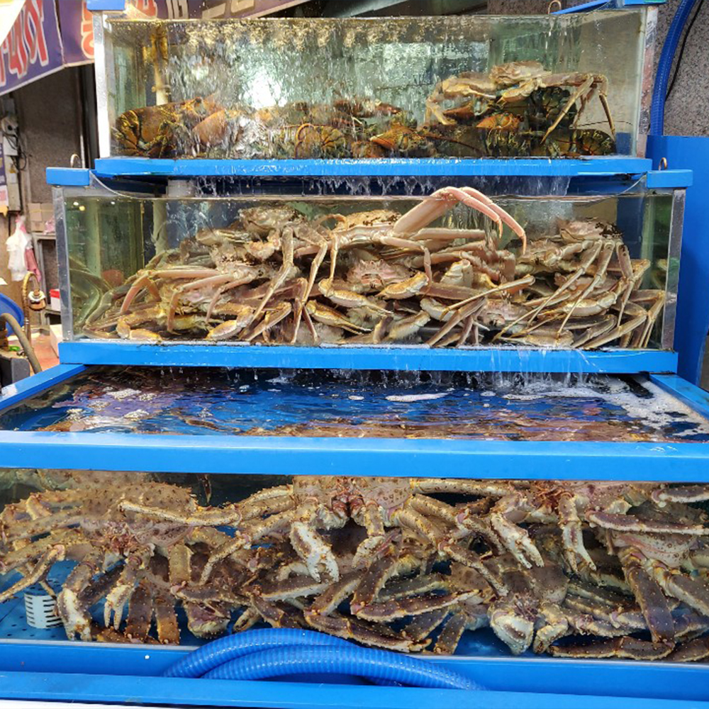 [오산/동탄 당일배달] 바다를 담은 꽃게탕키트 양념장포함 1kg 전후 2-3인분 [오색 시장수산] : 동네시장 장보기