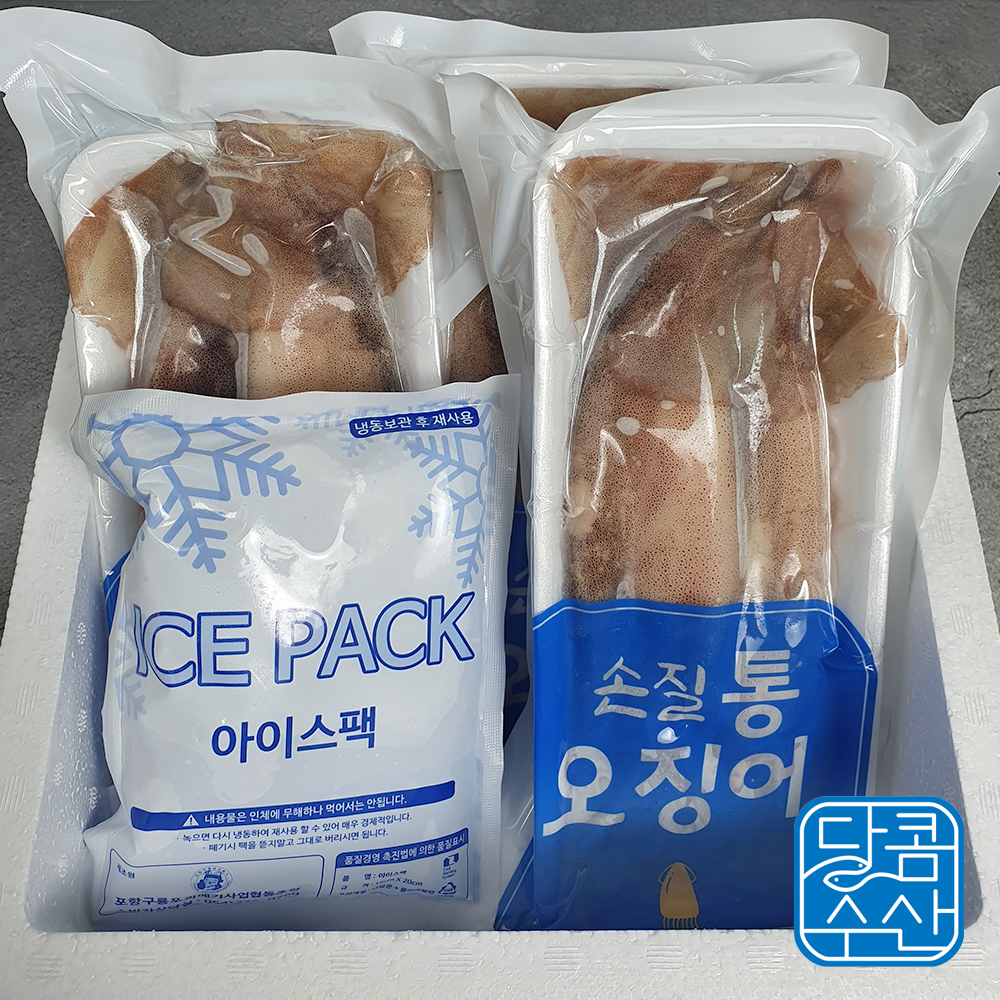 통오징어 숙회 자연산 오징어 냉동 오징어 오징어 활용법